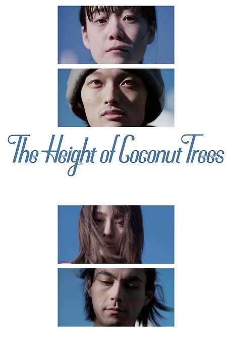 The Height of the Coconut Trees